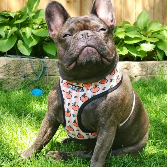 SOLD - Picture 2 of 5